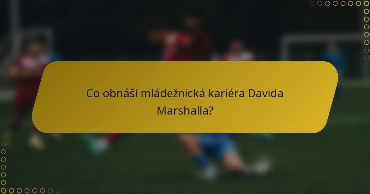 Co obnáší mládežnická kariéra Davida Marshalla?