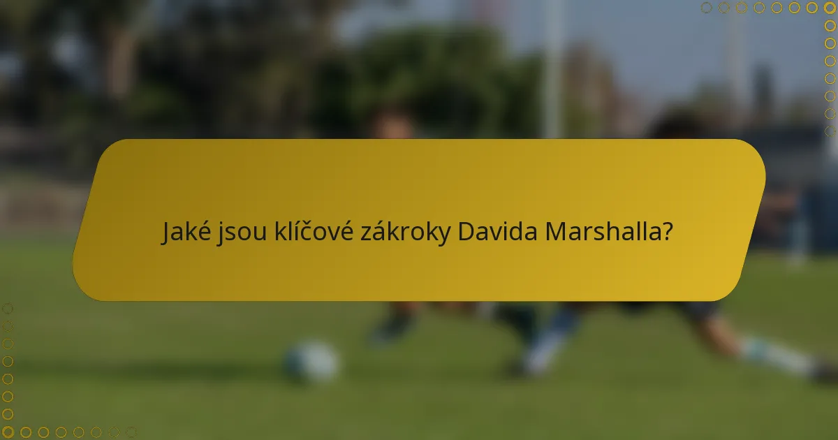 Jaké jsou klíčové zákroky Davida Marshalla?