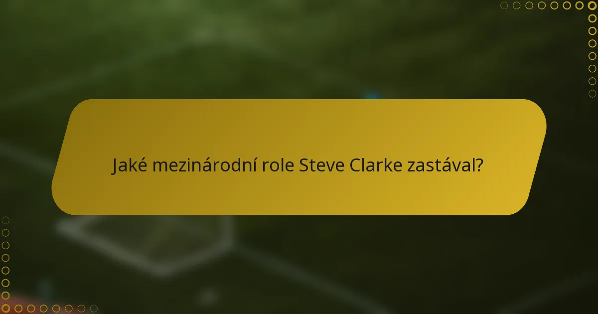 Jaké mezinárodní role Steve Clarke zastával?